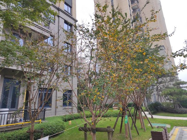 宁波余姚兰江万达豪庭(西区)万达豪庭,万达商圈,豪装2室2厅,带车位