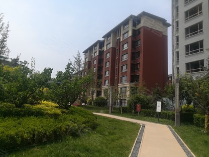 社会山西苑,祥和大道,近枫雅道 - 天津社会山西苑二手房,租房,房价