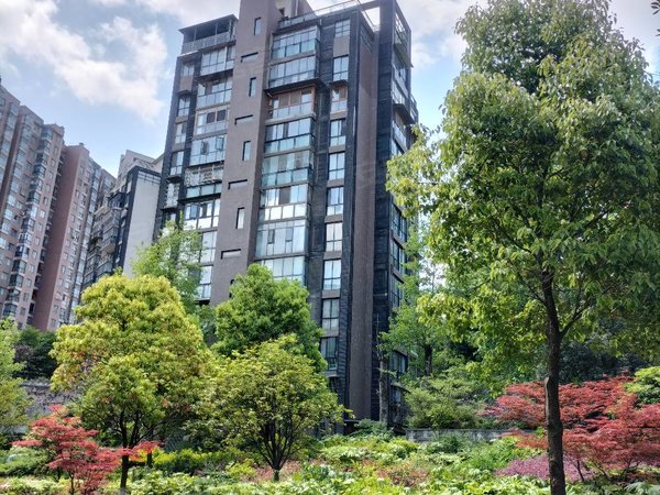 贵阳观山湖奥体中心中天帝景传说(c区)金阳南路地铁口帝景传说精装大