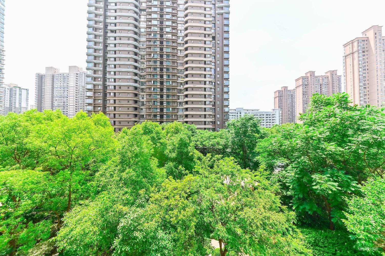 嘉悦天地慧芝湖花园三期