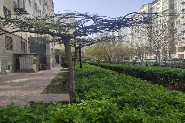 不足,钻石嘉园怎么样,钻石嘉园周边房产中介经纪人评价-保定安居客