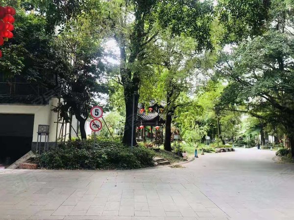 万博租房,清华坊317方精装修5房3卫带花园出租,番禺租房-广州58安居客