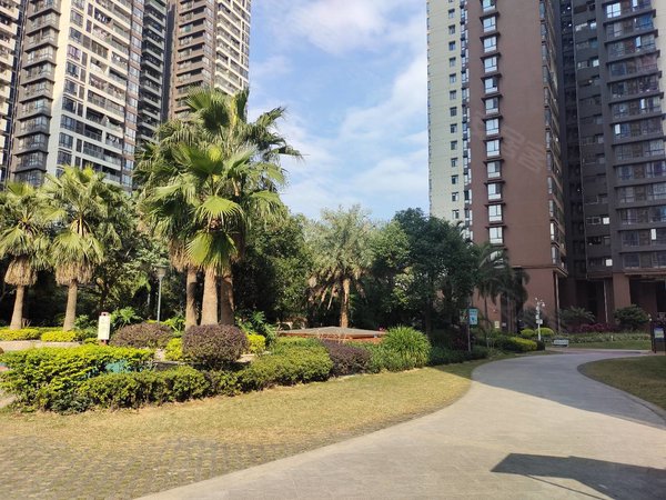 广州增城新塘豪进广场碧桂园豪进广场 全新 南向两房 干净整洁 拎包