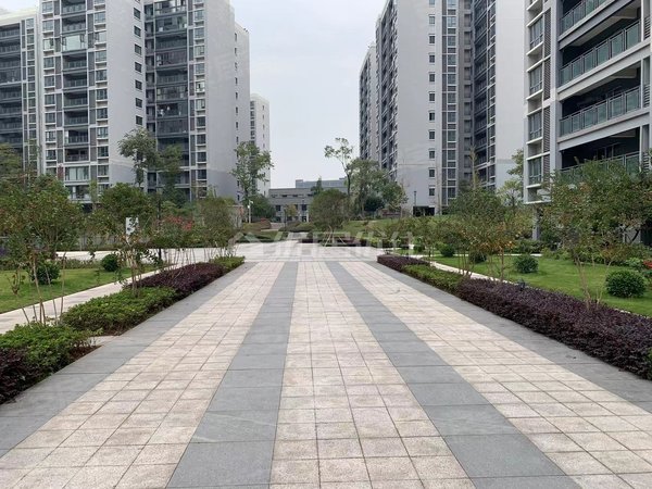 重庆渝北空港川航佳园128平川航佳园3室整租押一付三精装2600元每月