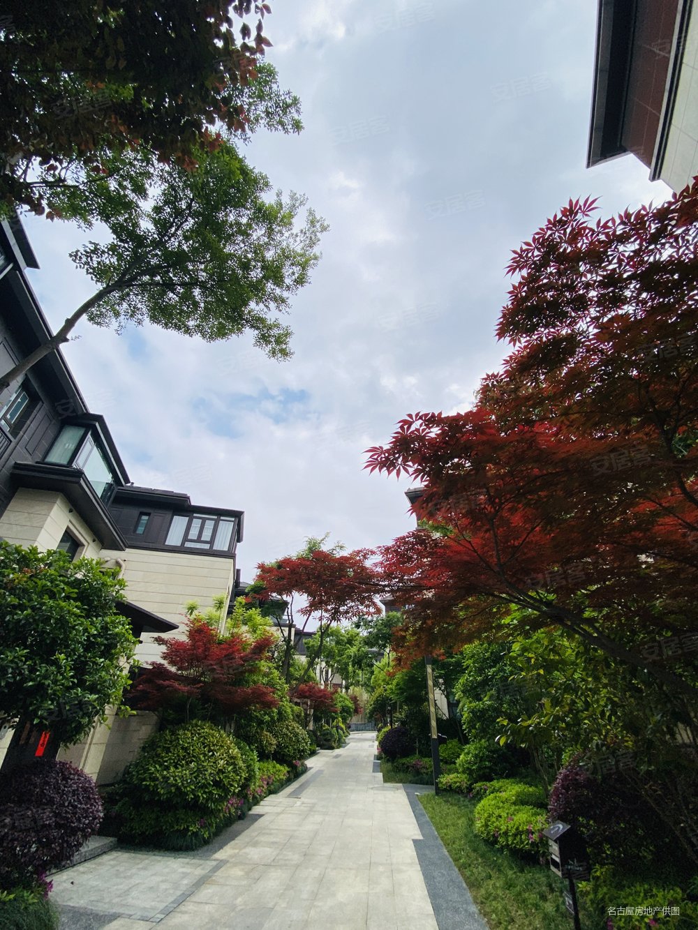 狮山原著 东区上叠别墅 买2层送1层 三开间五房 狮子山景观