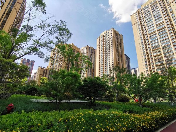 昆明西山前卫营润城八区急租!