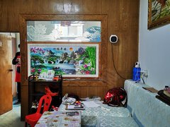 南充南部万达广场出租草市街邮政银行附近5楼,套二,装修带家具家电可拎包入住出租房源真实图片