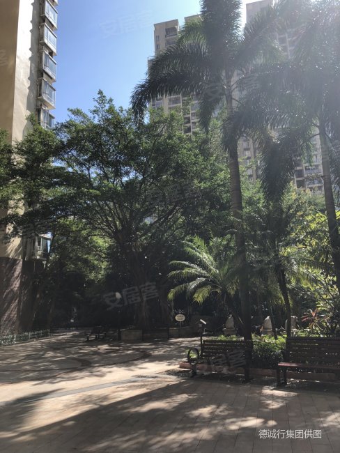 泓景花园 高层 广州塔景观3房2卫 诚意出售 景观好 户型靓