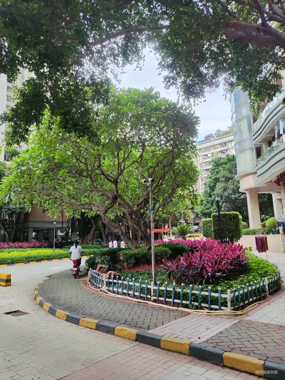 东南向 三房两厅带主套,南景园二手房,620万,3