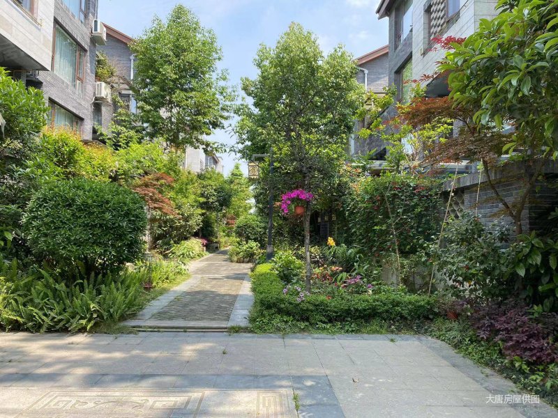 新出小别墅独门独院采光好家具家电全带紧临青城山前门