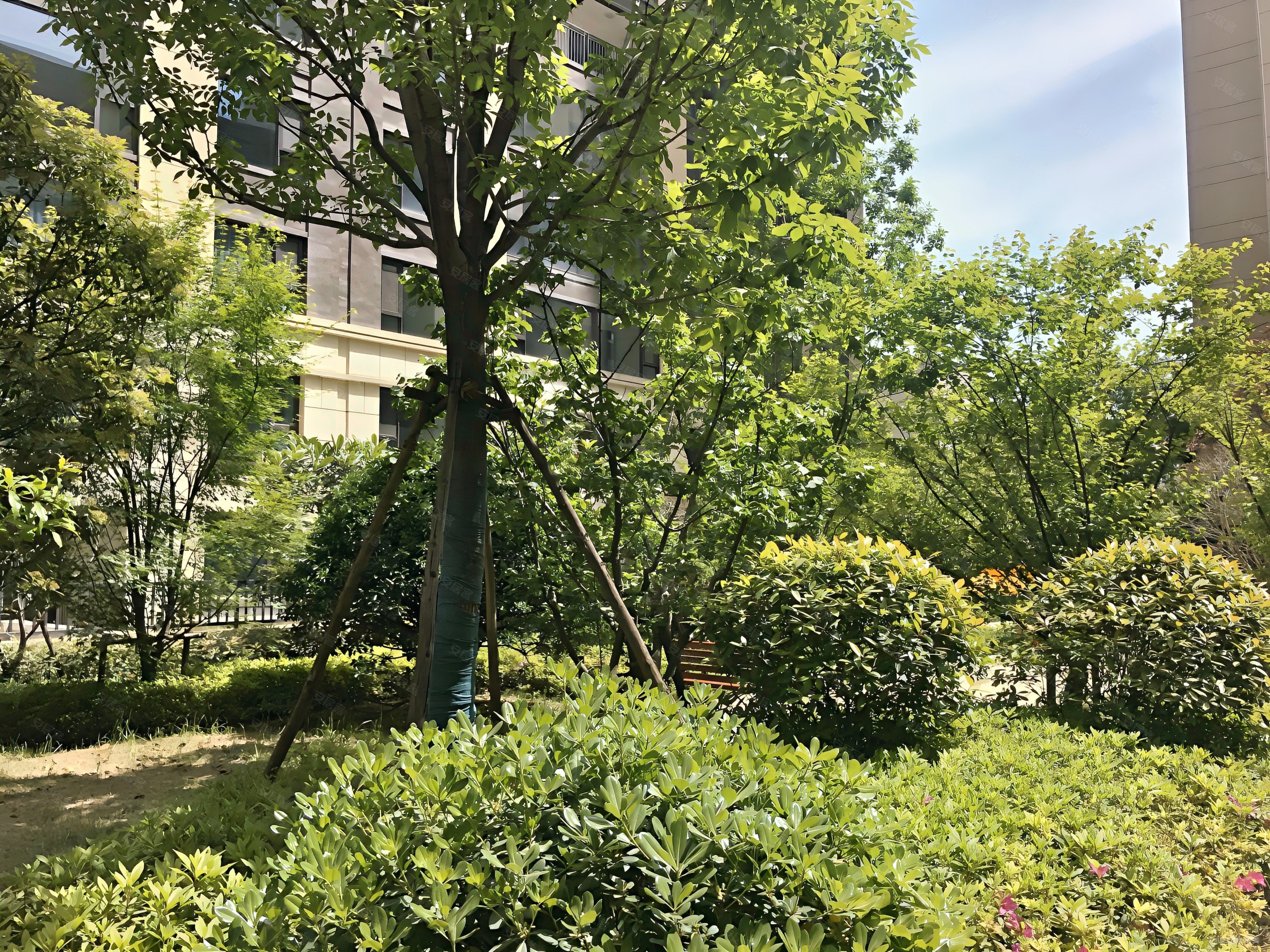 天朗莱茵小城2室2厅1卫65.46㎡南北90万