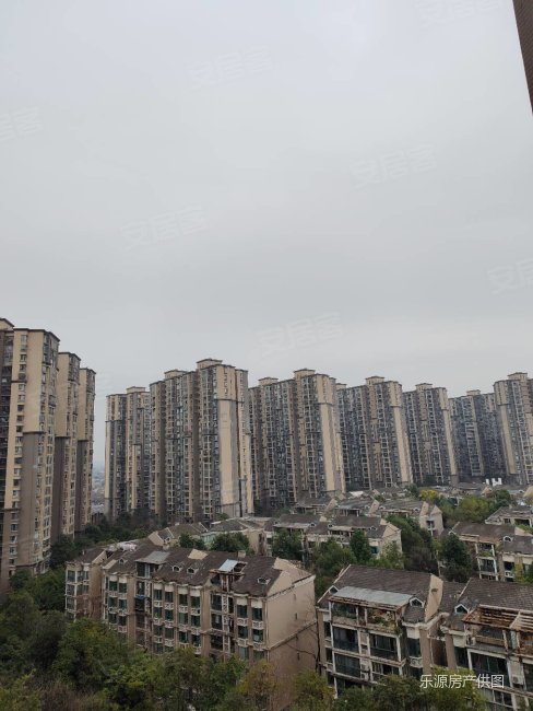 大丰博雅新城 户型方正 彩光好 适合居家 先到先得 随时看房