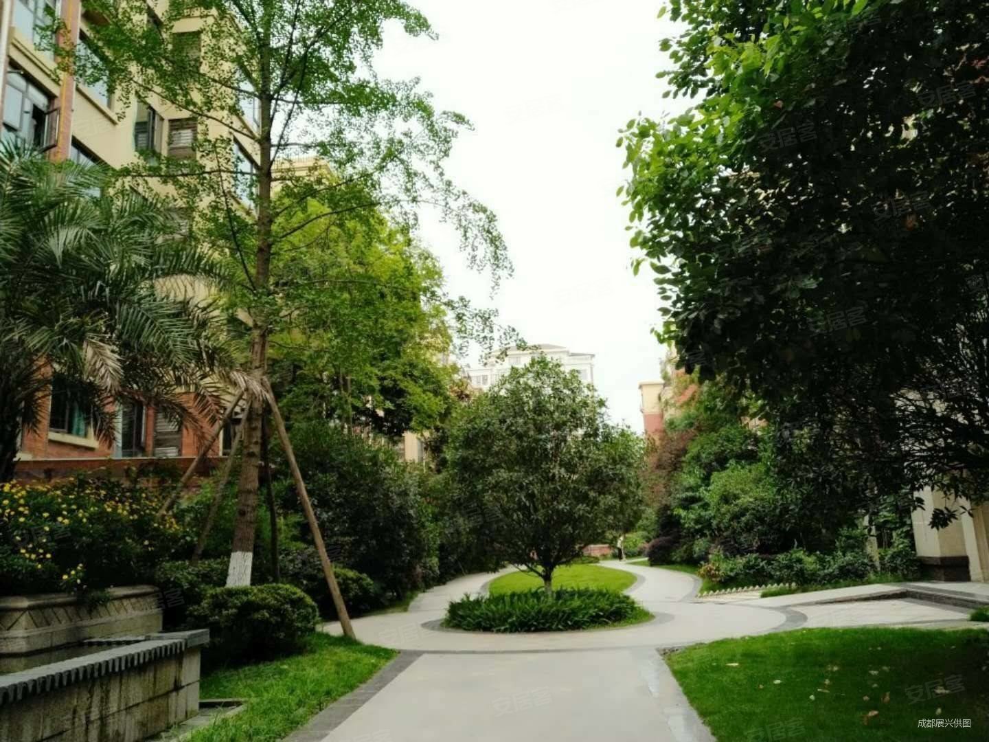 双楠大道旁 精装跃层套三双卫 无遮挡视野好带中央空调 赠送大,佳兆业