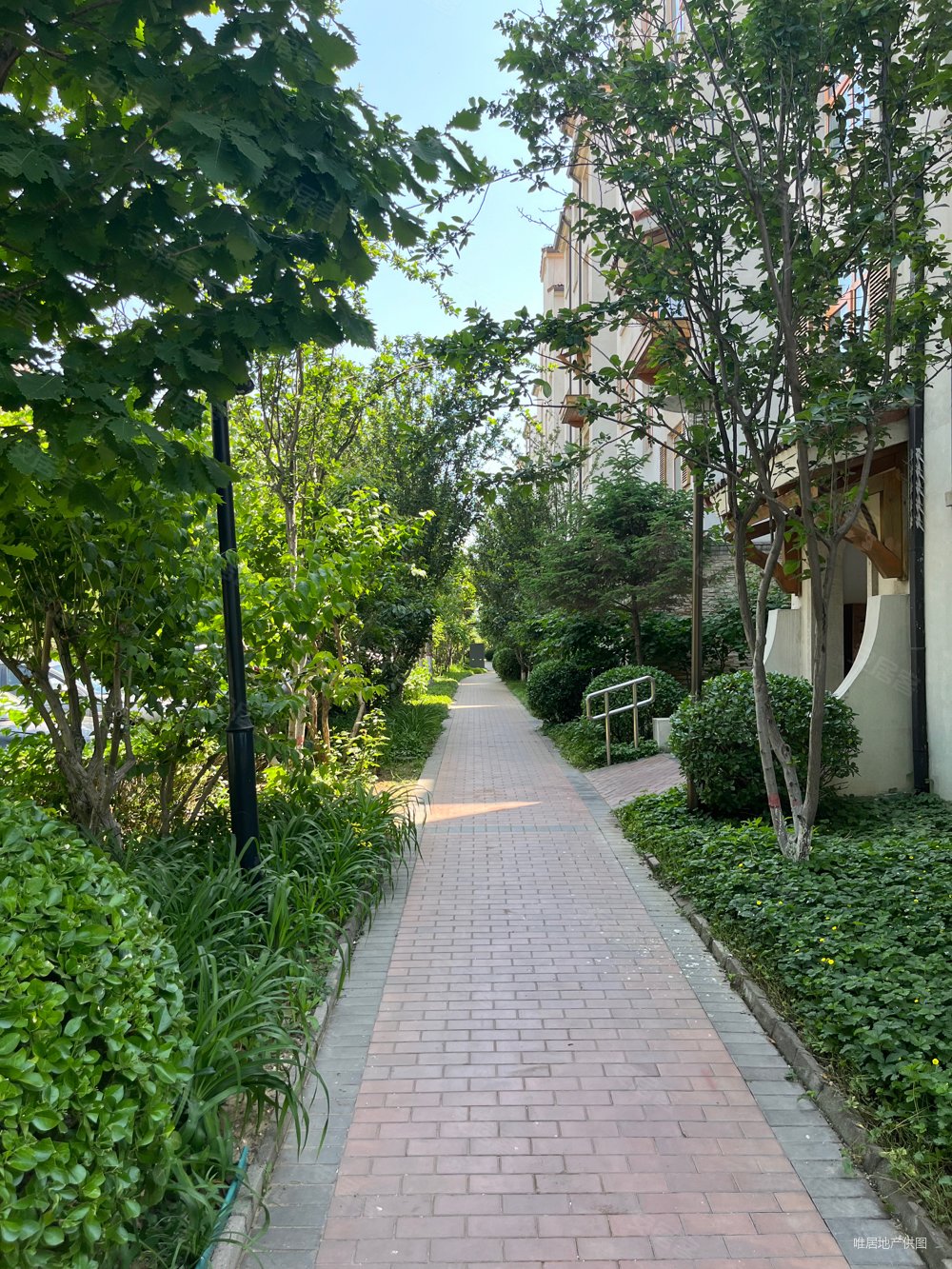 天洋万科小院,没住过,房主急售,天洋万科北戴河戴河丽舍(一期)二手房