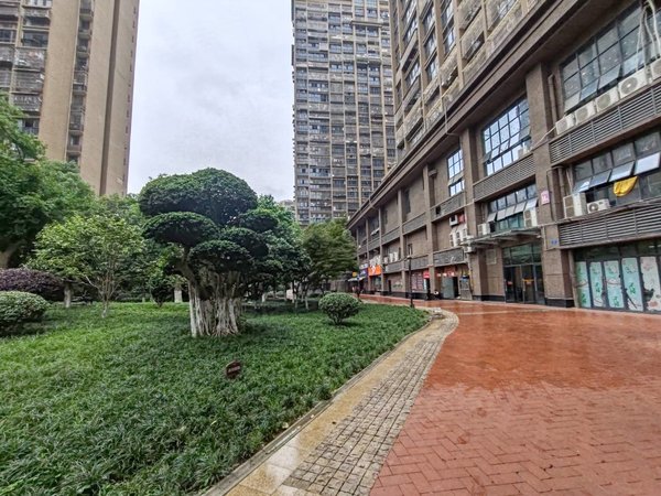 重庆渝北农业园区金鹏两江时光金鹏两江时光精装两房出租 拎包即住