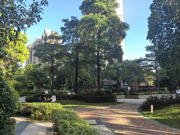 广州花都新区保利花城哇!