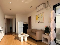 深圳龙华油松品牌公寓 免租一个月(限时惠)精装修直接拎包入住出租房源真实图片