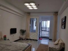 武汉黄陂盘龙城天纵城(商住楼) 1室1厅1卫  电梯房 精装修46平米出租房源真实图片