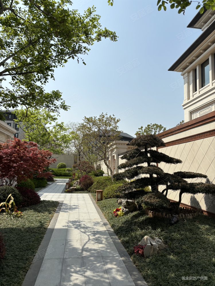 海马青风院子5室3厅4卫290㎡南北2150万