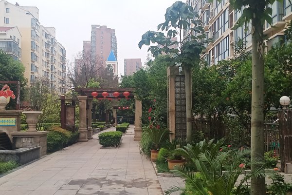 新城国际怎么样,好不好_中介房产经纪人:陶瑞英对新城国际的评价-商丘