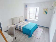 武汉洪山白沙洲主卧独卫 中建铂公馆 白沙洲张家湾 万科广场 未来城出租房源真实图片