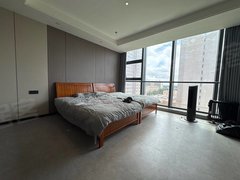 庆阳西峰西峰城区市政府隔壁 宏瑞雅居精装一居室 拎包入住出租房源真实图片