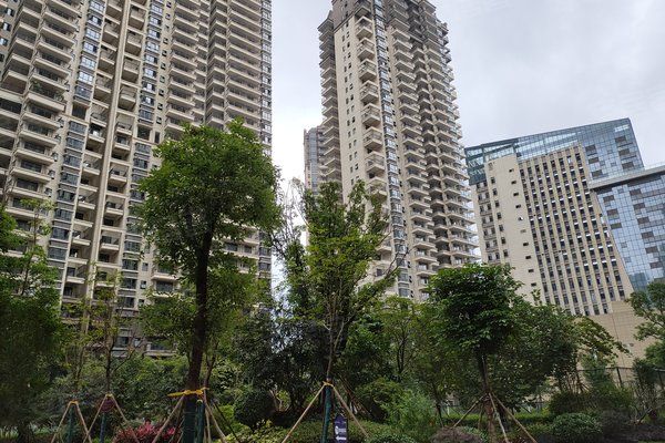 阳光城大唐世家怎么样,阳光城大唐世家周边房产中介经纪人评价-南宁