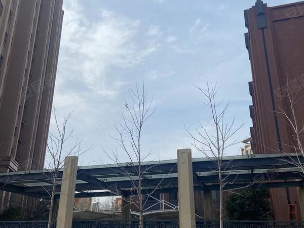 首租 祥瑞福邸花园 水晶街 八中 温馨两室带电梯,张店租房-淄博58安居