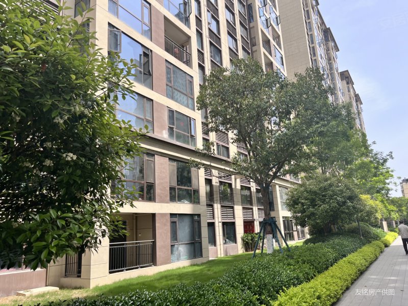 老城十字街旁 碧桂园幸福里 电梯小高层 南北通透 大三室