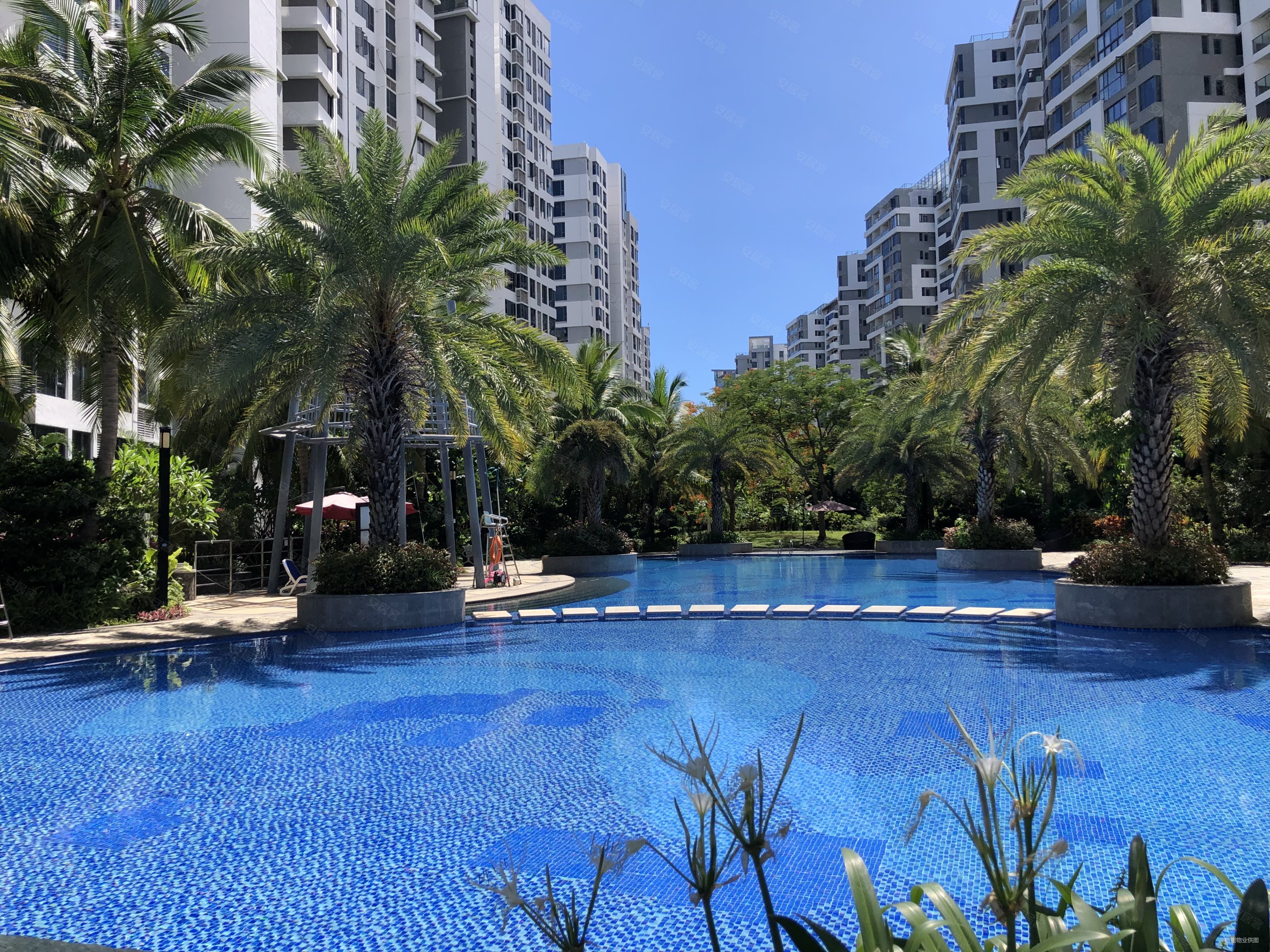 鲁能三亚湾美丽五区2室2厅1卫81.84㎡南北225万