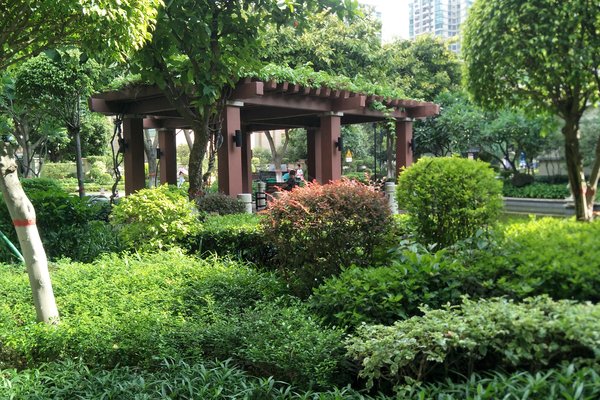 三水雅居乐花园图片