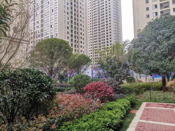 昆明五华北市区新时代广场羊肠村地铁口新时代广场精装2房1600月有