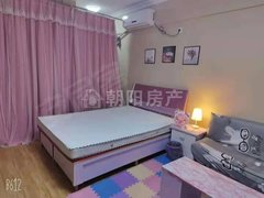 淮南田家庵淮南时代广场金大地龙湖中心 1室1厅1卫 电梯房 精装修 50平出租房源真实图片