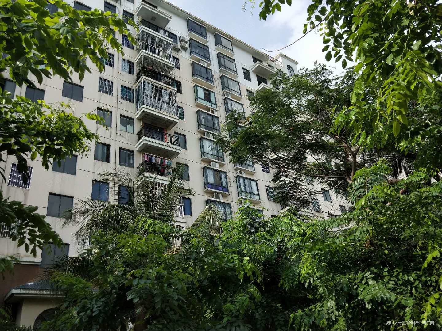 秀英政府对面小区 板楼三房两厅拎包入住 通风采光好 居家,水云天