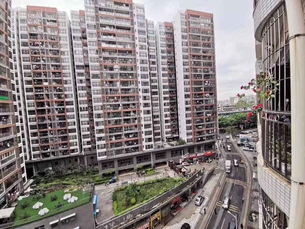 深圳布吉南岭黄金豪庭(龙岗)丹竹头黄金豪庭高层朝东南两房,出租,拎包