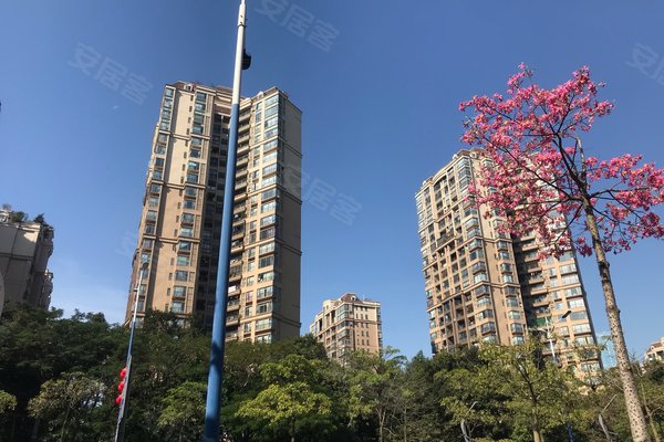佛山小区 南海小区 千灯湖小区 中海万锦豪园