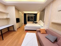 常熟市区文化片区急租！世茂精装公寓月付短租均可 拎包入住设备齐全随时可看房出租房源真实图片