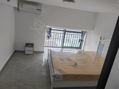 中山黄圃黄圃中心广场凯隆城豪华装修，复式公寓，出租，850一个月，拎包入住出租房源真实图片