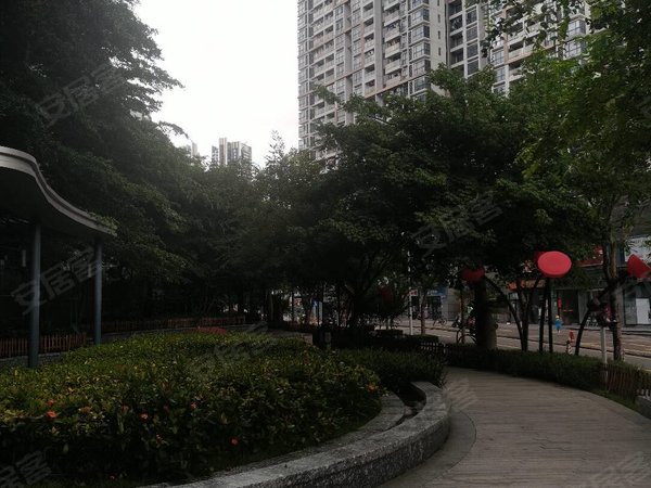 大学城旁 崇文花园60平两房全齐家私出租,中高层,看花园安静,南山租房
