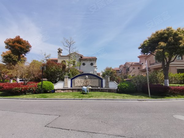 上海奉贤海湾招商海廷(959弄)招商海廷独栋大别墅,超大地下室8米挑空