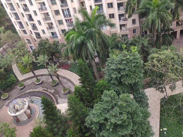 广州番禺星河湾星河湾国际公寓大石 星河湾国际公寓 1室1厅 电梯精