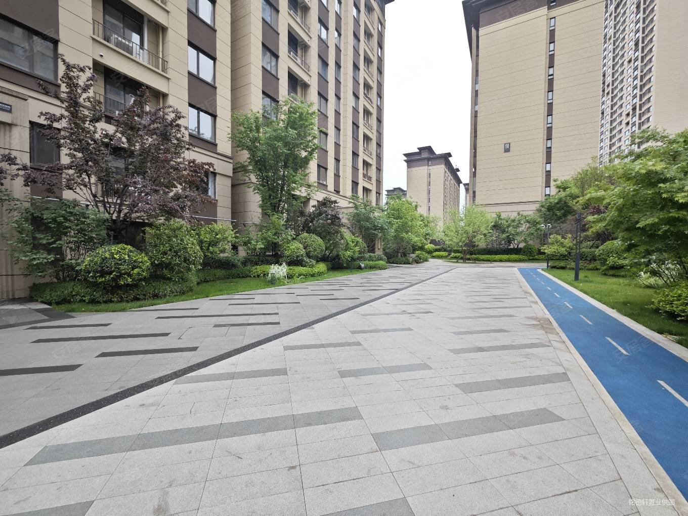 中南上悦城 采光良好 南北通透 南北无遮挡 精装修