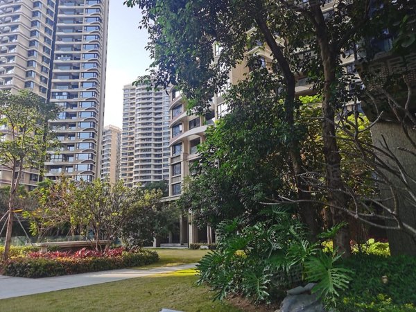 珠海横琴横琴口岸华发首府华发首府 4室2厅2卫 5800元月 精装修  134