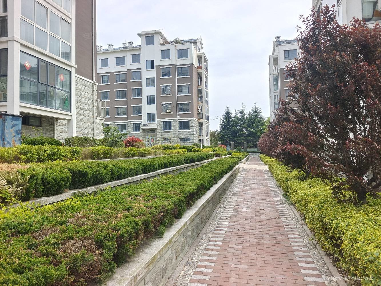 山海逸居小区安静周边环境优美房东急售可以再便宜九万