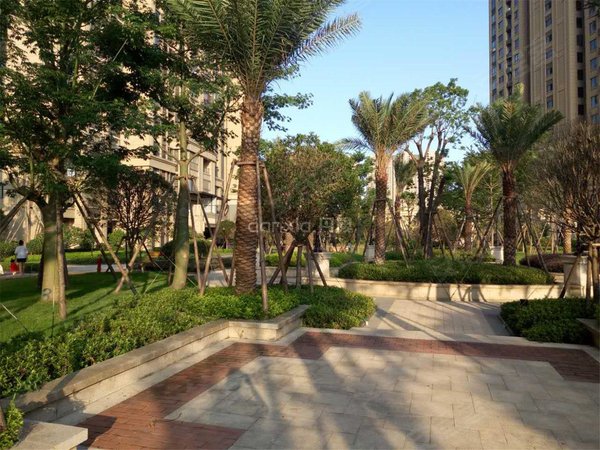 厦门集美同集南路古龙御景(一期)集美桥头 嘉庚体育馆 古龙御景 高层