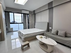 一个月起租 特别适合刚来广州工作的人 全新精装修酒店式公寓房