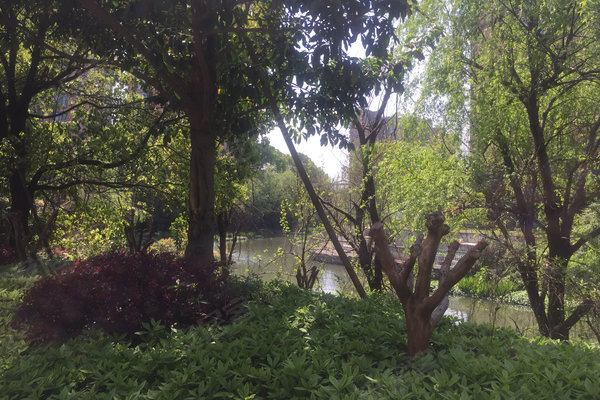 香堤水岸,泰安西路117弄-宁波香堤水岸二手房,租房-宁波安居客