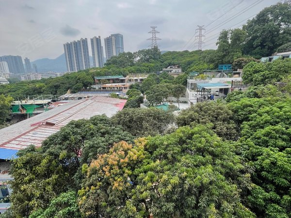深圳南山大学城大学城创客小镇西丽湖,大学城!朝南看山景,电梯单间!