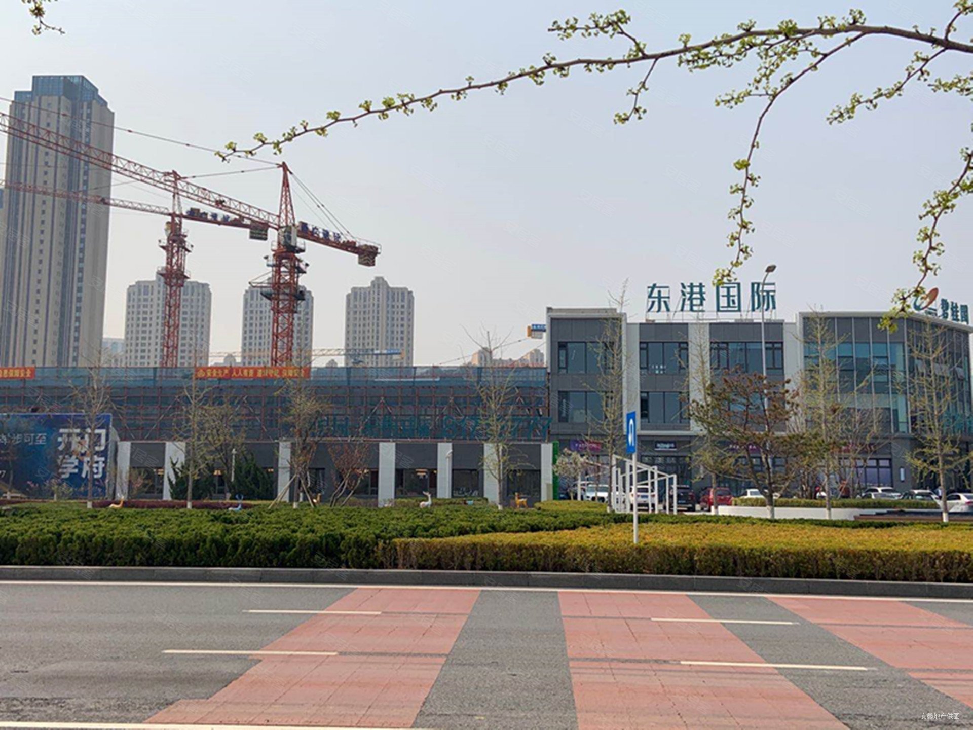 碧桂园东港国际