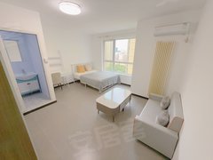 北京朝阳亚运村安立路 金泉家园精装修主卧独卫 大屯路东 洛克时代 北辰出租房源真实图片